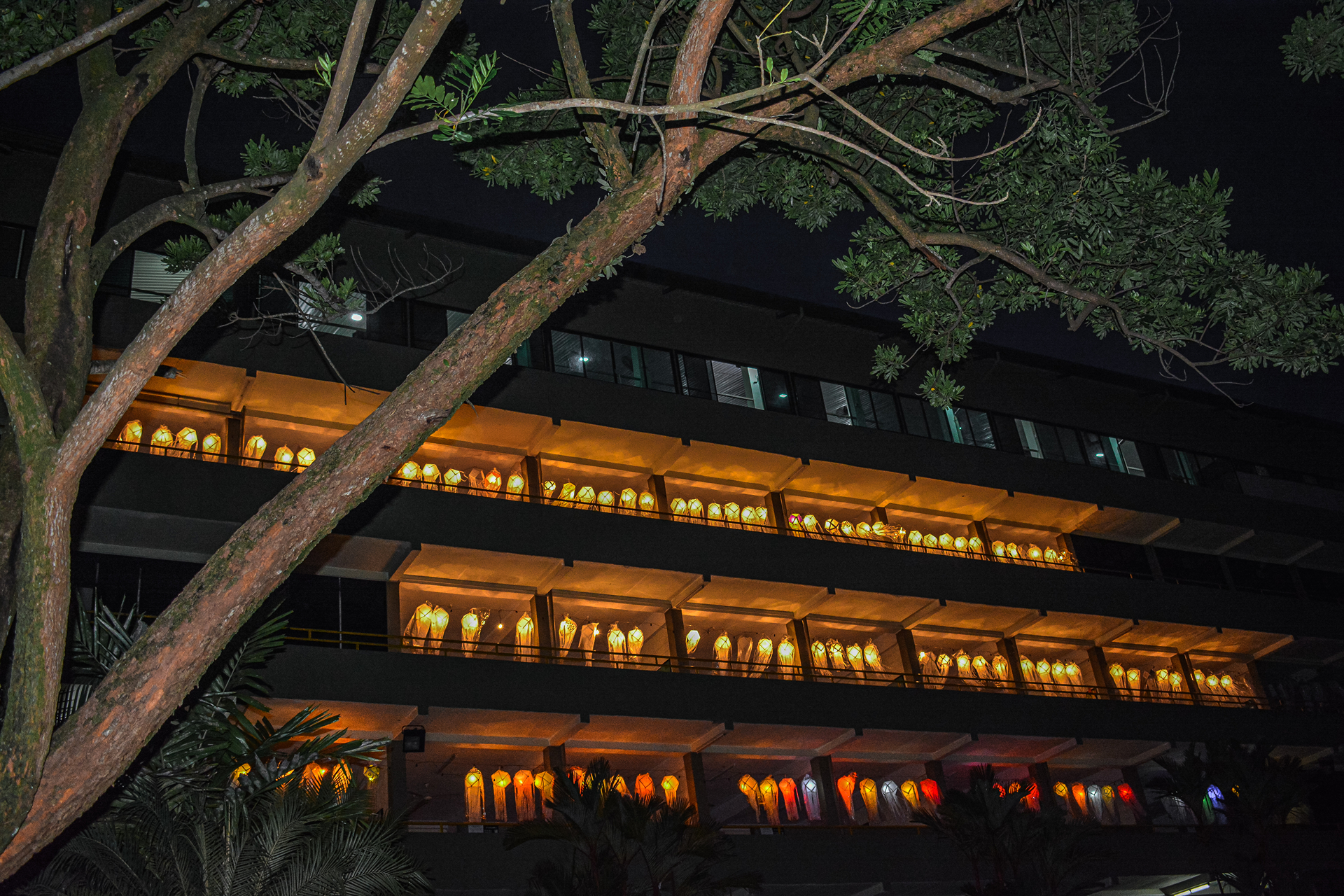 Warmly lit building with lanterns at night, large tree in foreground.