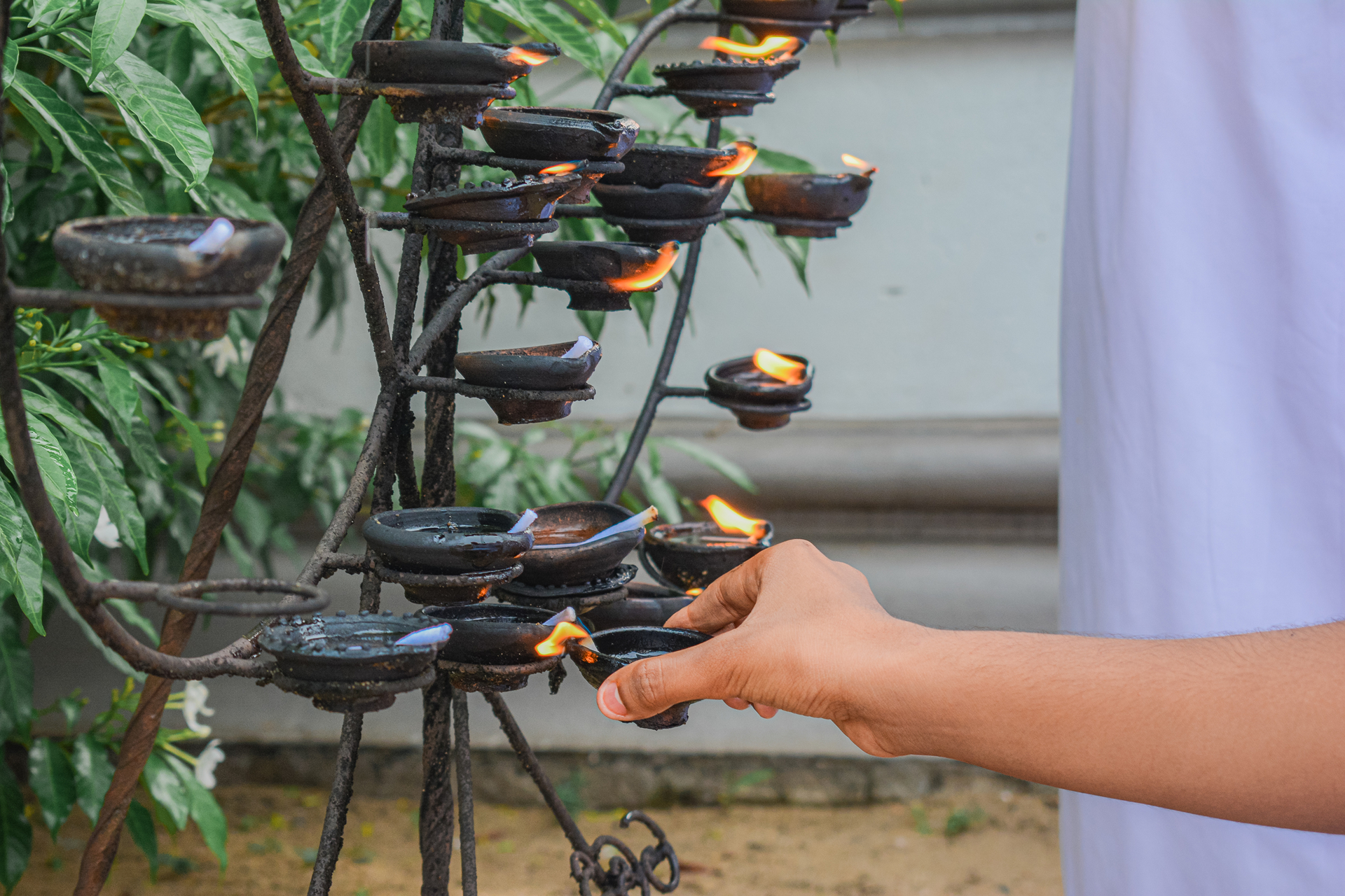 Lighting oil lamps on an ornate stand outdoors amidst lush greenery.