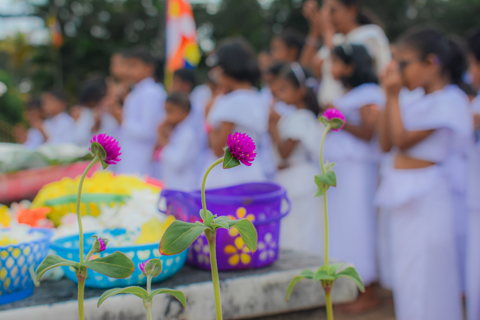 Bright magenta flowers with children in white at an outdoor ceremony.