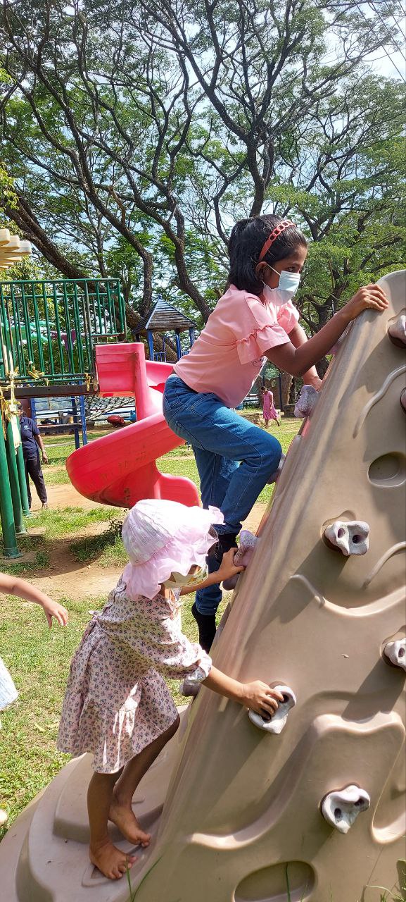 Children climbing a rock wall at a sunny playground with trees and equipment in the background.