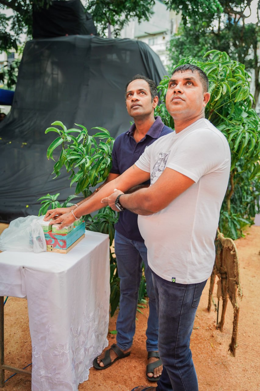 Mystery in the Garden: Two Men Gazing Upwards Two men in a garden, gazing up at a structure covered in black fabric.