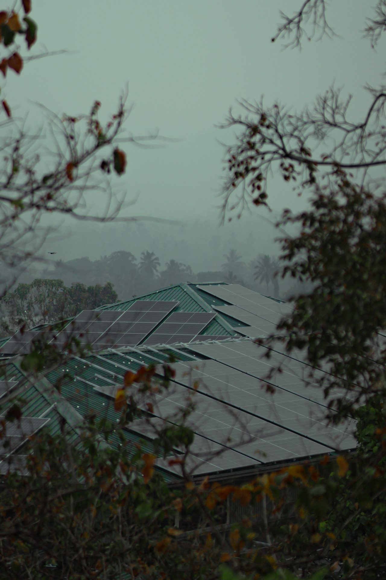 Green roof with solar panels, framed by trees in a misty, tranquil, eco-friendly landscape.