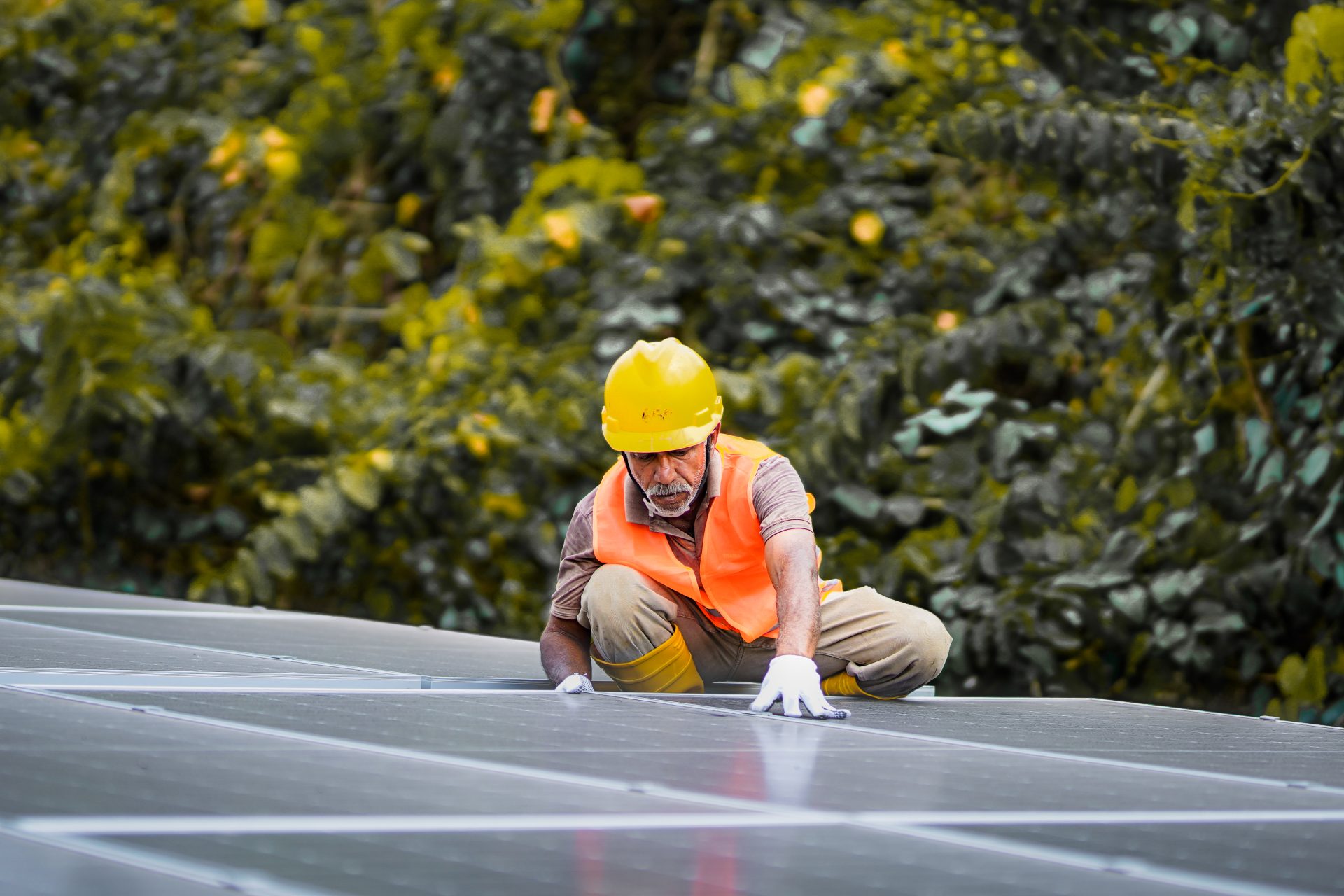 Worker in safety gear maintains rooftop solar panels near lush greenery, highlighting renewable energy.