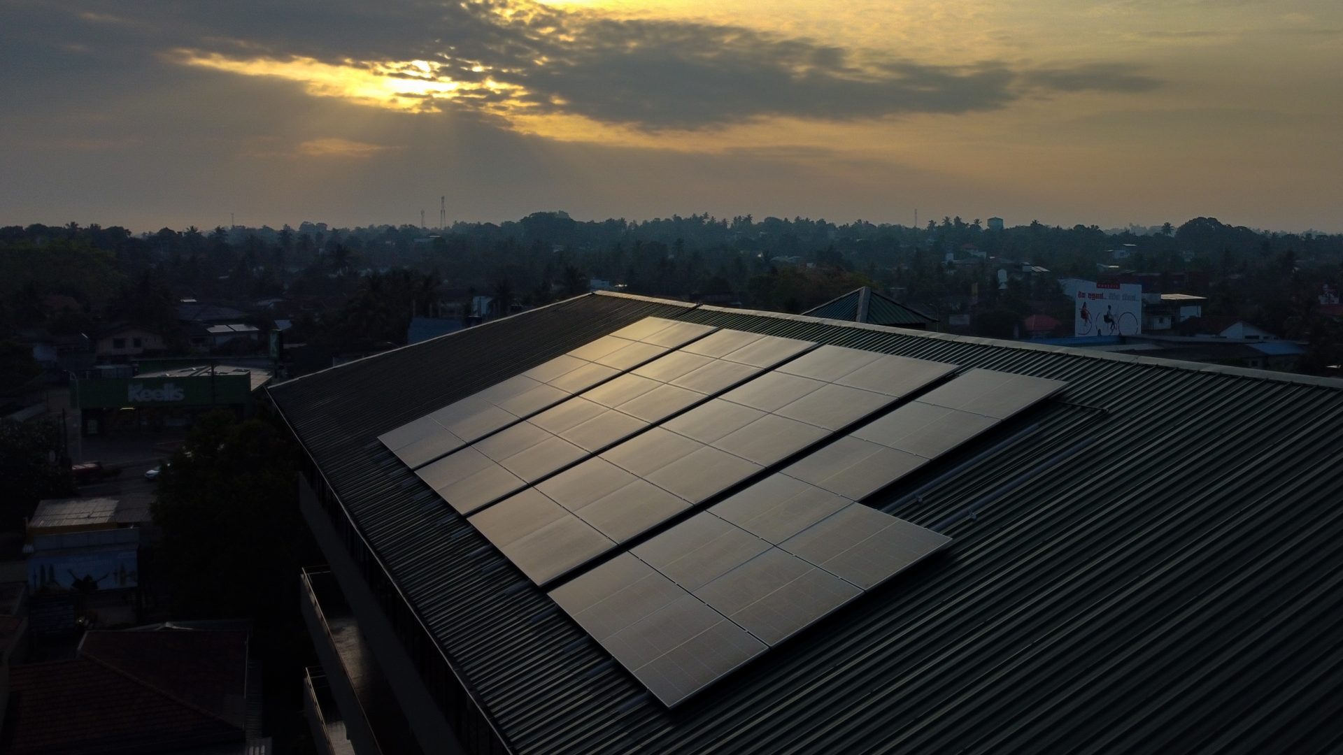 Solar panels on green roof at sunrise/sunset, blending technology and nature in urban setting.