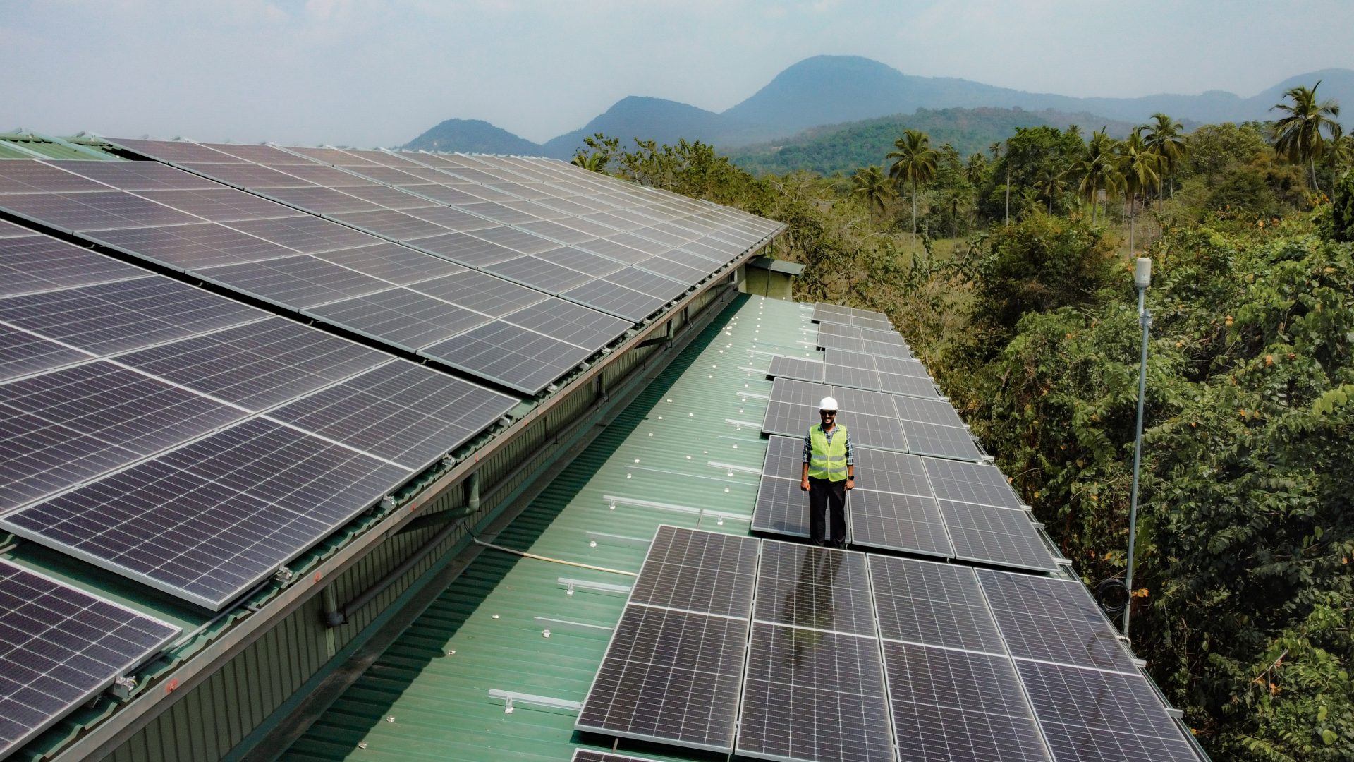 Solar panels on green roof with worker, set against trees and mountains, showcasing renewable energy.