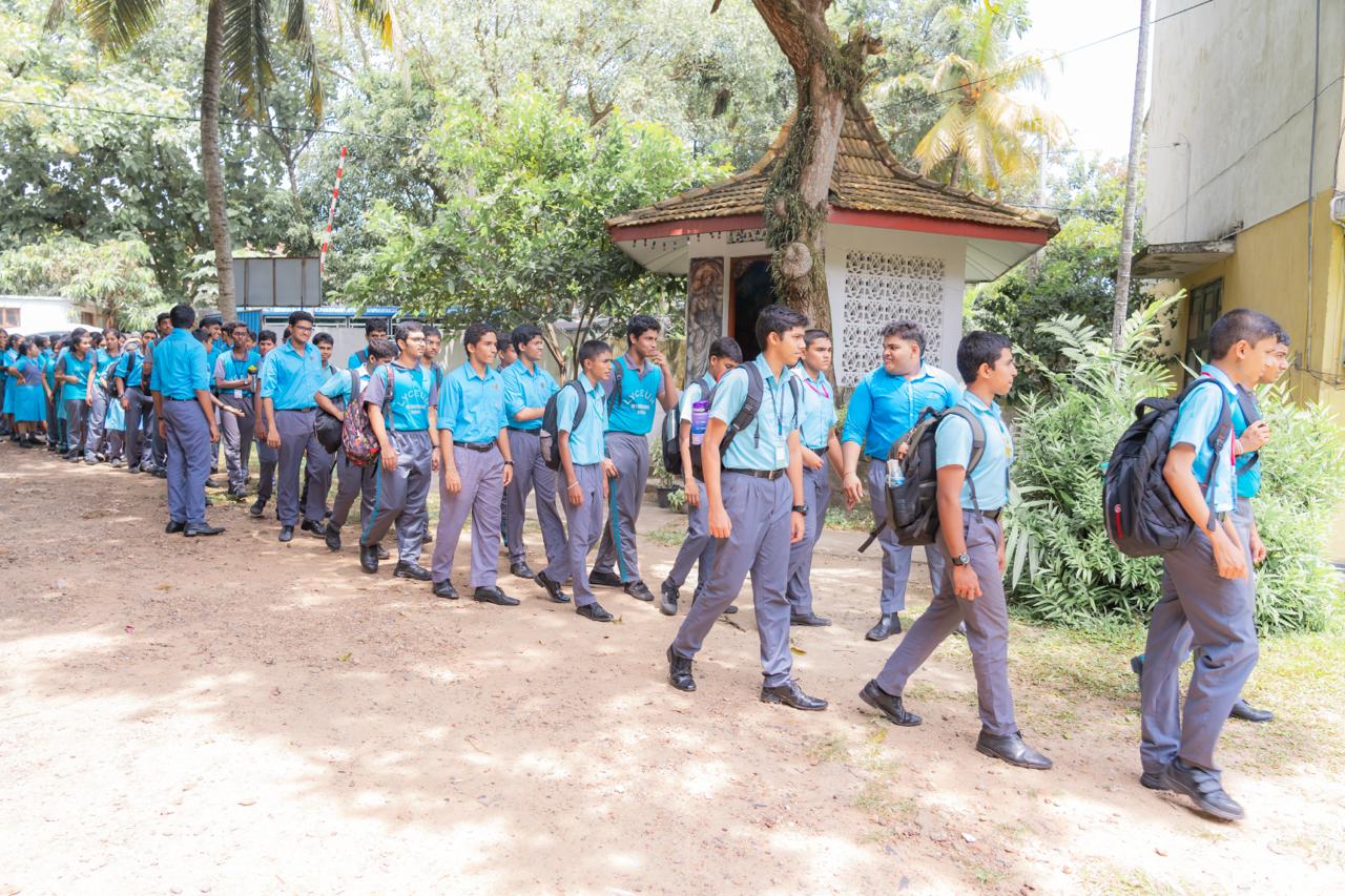 Modern office workspace with laptop, coffee, and plants on desk.