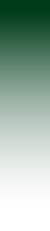 Solid deep green background, vertical rectangle, perfect for banner, graphic design, or web projects.