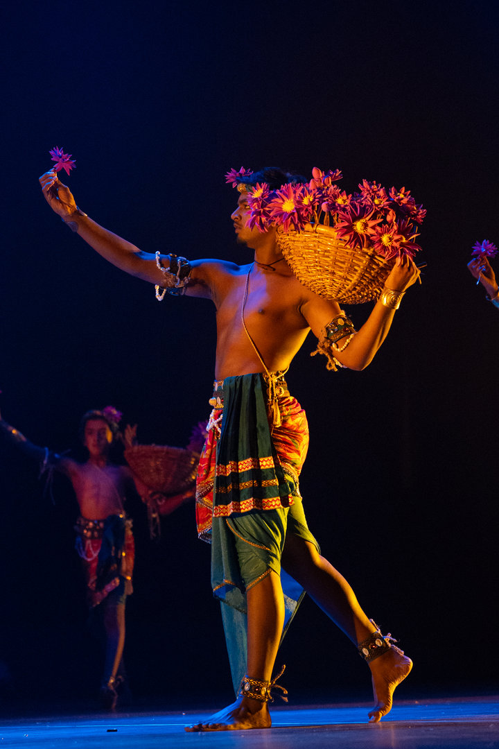 Traditional Dance Performance With Vibrant Flowers on Stage Male dancer in traditional costume performs expressive flower dance on stage with vibrant purple flowers.